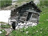 Planina pod Mišelj vrhom-doživela je že boljše čase-sedaj je zapuščena-skoraj.