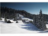 Planina Konjska dolina (Pokljuka)