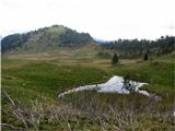 Planina Festons