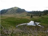 Planina Festons