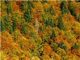 Planina Brdo Jesenska barvna poezija