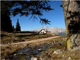 Planina Federa