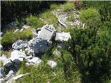 Prvo se povzpnem na sosednji grič in ga botanično preiščem-to je mejni kamen na vrhu-Rapalska meja med Italijo in kraljevino Jugoslavijo.