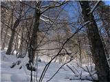 Dolina belega potoka/Val di Riobianco Na poti do koče Brunner