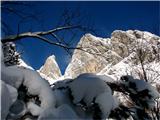 Dolina belega potoka/Val di Riobianco Rogljič in Lepa glava