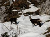 Rifugio Guido Corsi in nato še te dve.