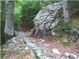 Pot po gozdu popestrijo palice, ki podpirajo skale