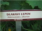 Dlakavi lepen (Adenostyles alliariae)