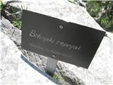 Bohinjski repnjak.