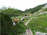 Planina Ovčarija.