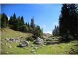 planina Zgornja Dolga njiva