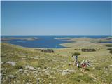 vzpon na Metlino 237 m, najvišji vrh Kornatskega otočja