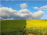 Camino France - pot tisočerih korakov 