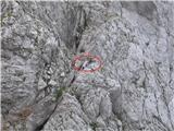 srečal sem jih nad snežiščem pod ramo, ko sme prišel preko vrha po italijanski so še vedno sestopali v slovenski