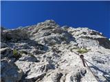 pogled v prihodnost