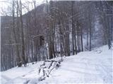 ...Dedni vrh...