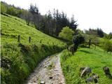 Camino Primitivo - osamljena pot po čudoviti pokrajini 