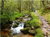 Camino Primitivo - osamljena pot po čudoviti pokrajini 