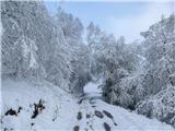 Camino Primitivo - osamljena pot po čudoviti pokrajini 