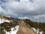 Camino Primitivo - osamljena pot po čudoviti pokrajini 
