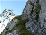 Chapel of Christ the King in Logarska dolina - Mrzla gora