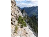 Chapel of Christ the King in Logarska dolina - Mrzla gora