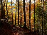 Travnik, Plaski Vogel 