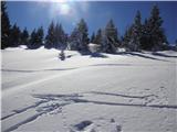 sonce že dobro greje