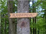 Proti Planini Preval