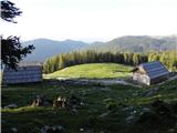 Pl.Podvežak