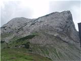 Lučki dedec