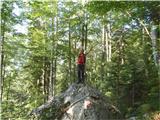 Žan stoji na skali v gozdu