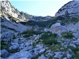 Rjavčki vrh ali Planinšca ( 1898m ) Krnica