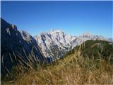 Rjavčki vrh ali Planinšca ( 1898m ) Razgled z vrha