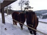 Rog in Sv. Jakob Duo Pony