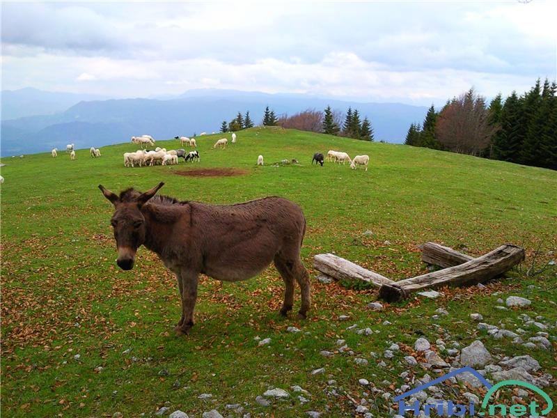 V dobri družbi :)