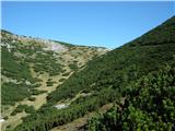 Knipsovo sedlo
