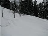 Planina je ograjena, poleti pasejo.