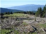 Weißensteinhütte - Ameringkogel (Packalpe)