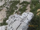 Taj se pa nije dao smesti, mirno je pozirao ...