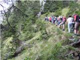 Macesje (Bretwand )-2124m Gozda kmalu zmanjka, celo jurčka smo našli ob poti.