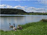 Šmartinsko jezero 