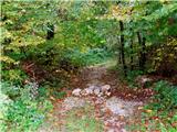 Podkočna - Jamnikov spodmol