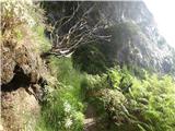 Pico do Areeiro - Pico Ruivo