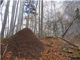Vračala sva se po prečni poti pod ostenjem Križevnika. Na sliki eden od značilnih smerokazov.