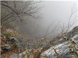 Turnc,Šmarna gora 667m Konec poti in pogled navzdol