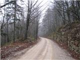 Veliki Javornik 1268m Makadam pot je lepo speglana