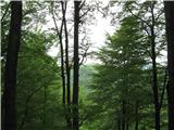 Vmes najdem pogled na Osovnik 858m