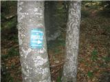 Lična lovska oznaka v zgornjem delu poti