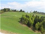 Sv.Ožbolt 859m (prečenje Polhograjskih Dolomitov) Sledil je kratek spust k Sv.Ožboltu 859m